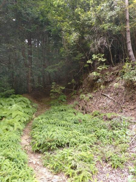 京都市左京区静市静原町の中古一戸建て