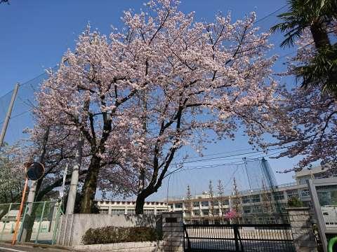 練馬区旭町3丁目の新築一戸建(練馬区立豊渓中学校)