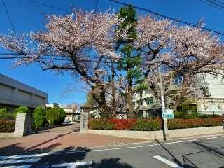 練馬区春日町３丁目の中古一戸建て(練馬区立練馬中学校)