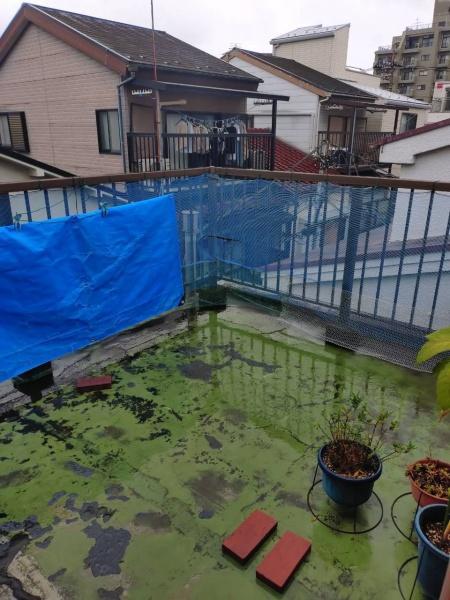 江戸川区平井５丁目の中古一戸建て