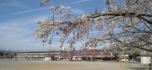 練馬区大泉学園町7丁目の中古一戸建て(練馬区立大泉学園桜小学校)