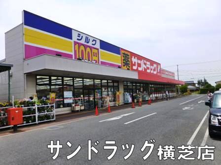 山武市松尾町高富の土地(サンドラッグ横芝店)