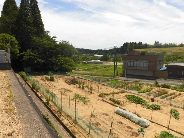 山武市木原の土地