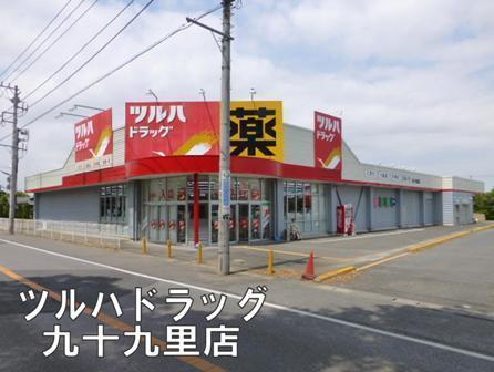 山武郡九十九里町粟生の土地(ツルハドラッグ九十九里店)