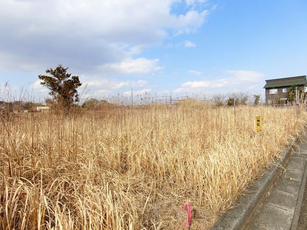 長生郡白子町五井の土地