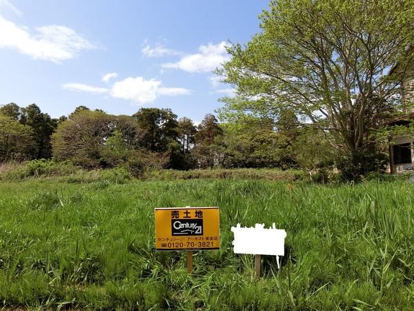 山武郡横芝光町宮川の土地