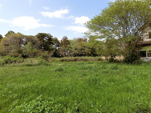 山武郡横芝光町宮川の土地