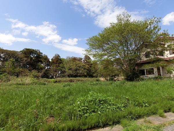 山武郡横芝光町宮川の土地