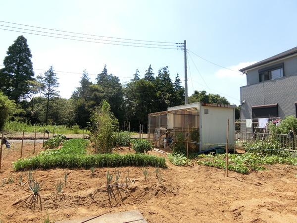 東金市下谷の土地