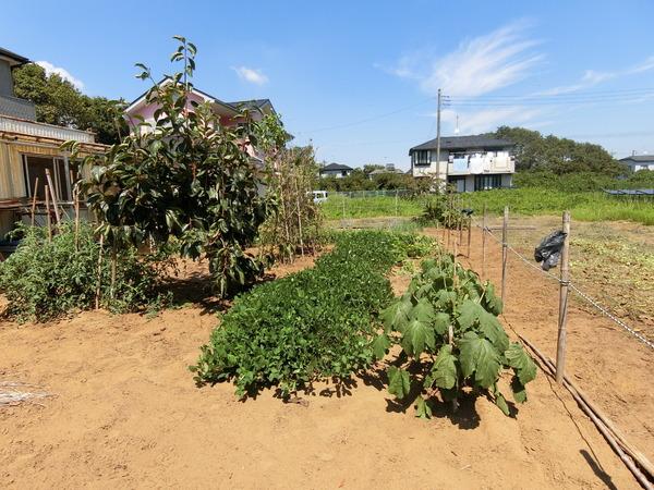 東金市下谷の土地