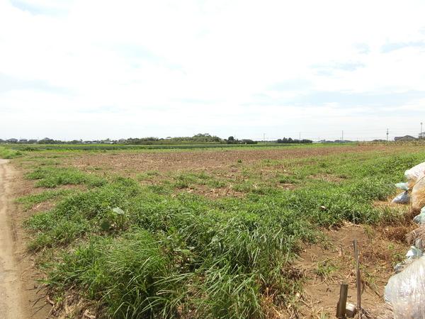 山武郡九十九里町作田の土地