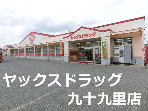 山武郡九十九里町下貝塚の土地(ヤックスドラッグ九十九里店)