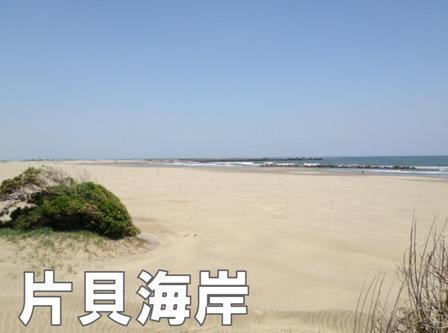 山武郡九十九里町下貝塚の土地(片貝海水浴場)