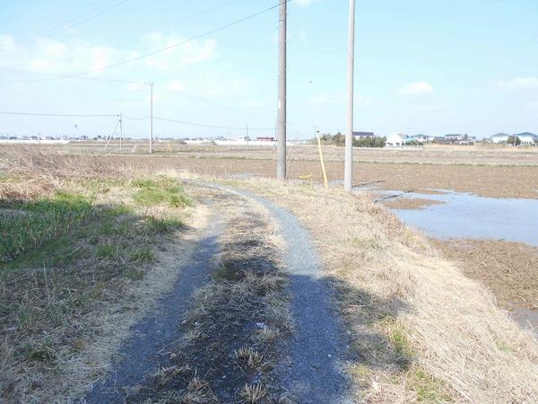 長生郡白子町古所の土地