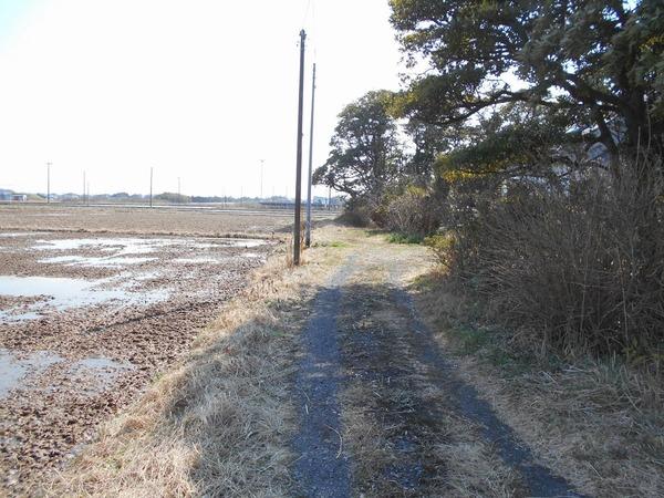 長生郡白子町古所の土地