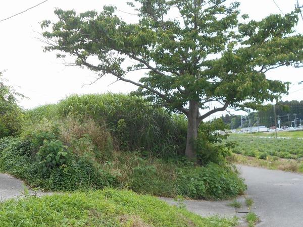 茂原市下太田の土地