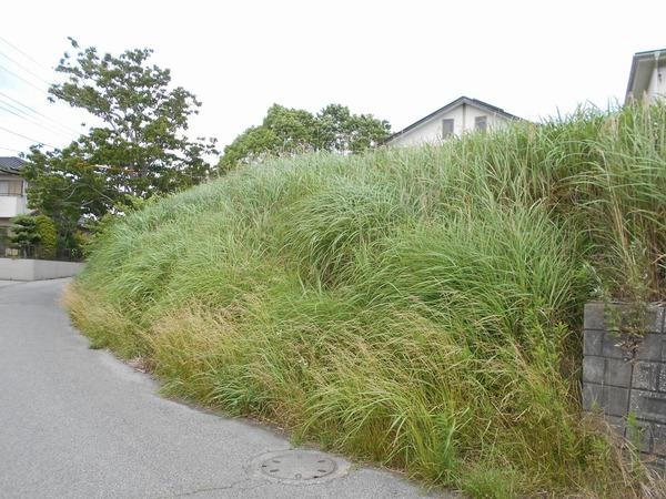 茂原市下太田の土地