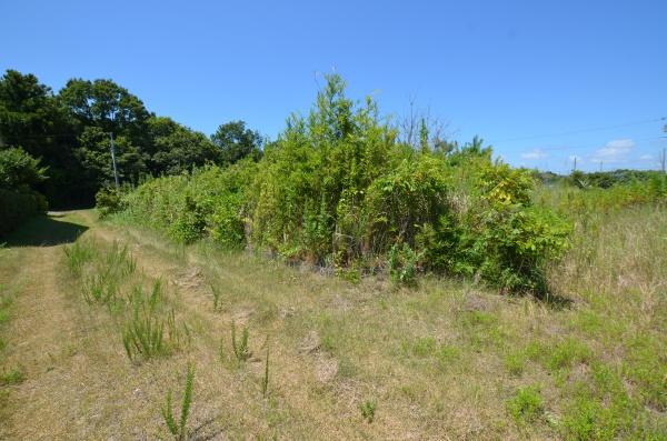 長生郡白子町関の土地