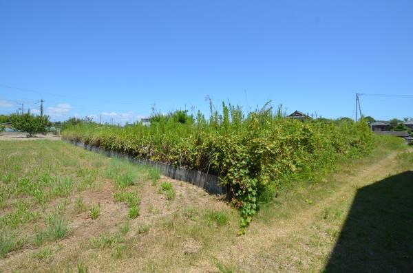 長生郡白子町関の土地