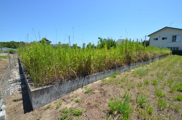 長生郡白子町関の土地