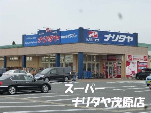 長生郡白子町幸治の土地(FRESHナリタヤ茂原店)