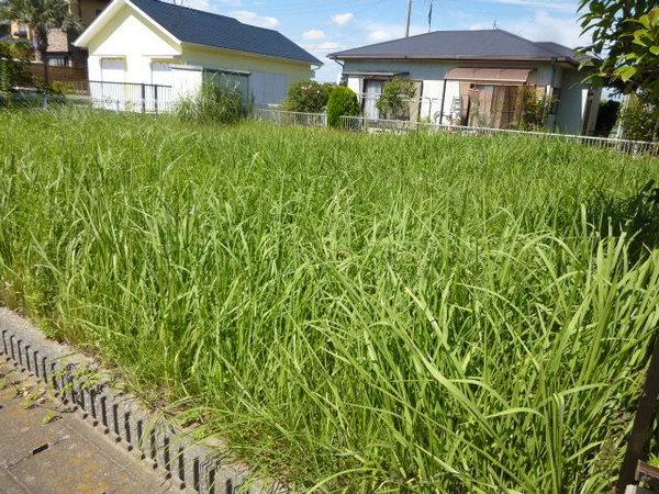 長生郡白子町幸治の売土地