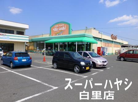 大網白里市下ヶ傍示の土地(フードプラザハヤシ白里店)