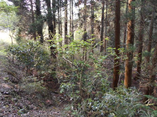 岩和田（イワワダ）土地　3000