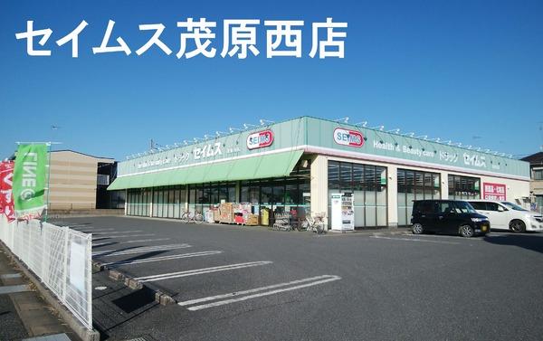 茂原市早野の土地(セイムス 茂原西店)