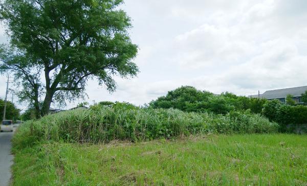 茂原市早野の土地