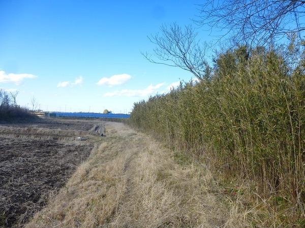 茂原市南吉田の土地