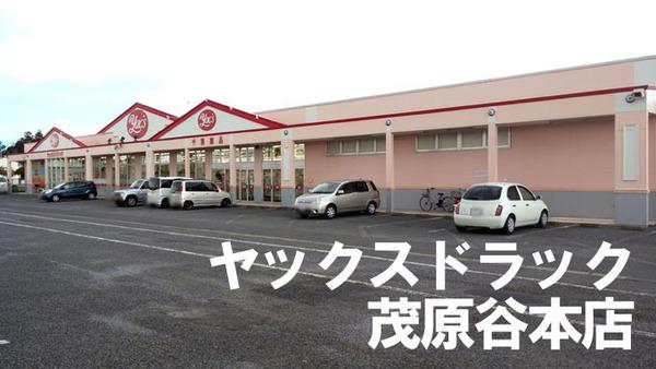 茂原市南吉田の土地(ヤックスドラック茂原谷本店)