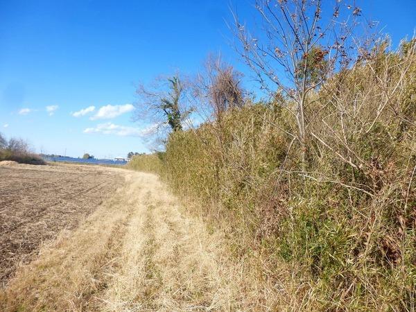 茂原市南吉田の土地