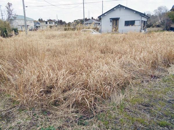 長生郡睦沢町川島の土地