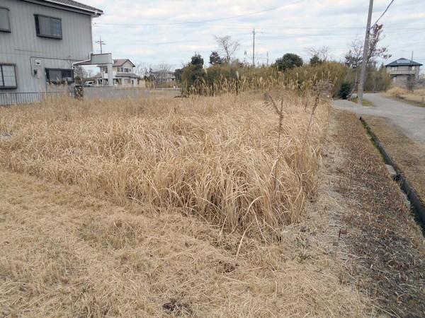 長生郡睦沢町川島の土地