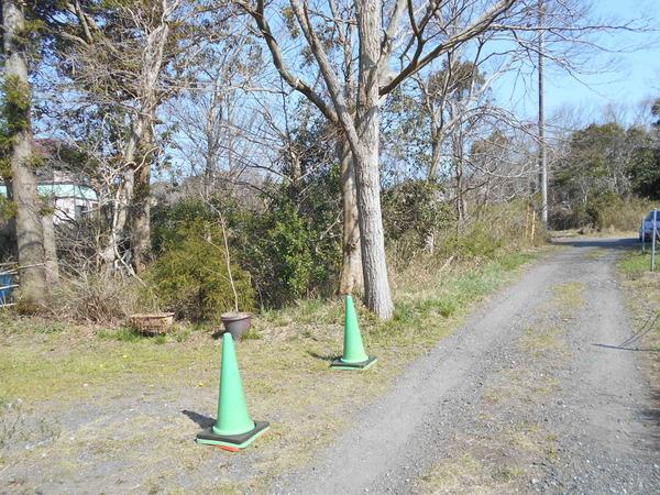 長生郡白子町北日当の土地