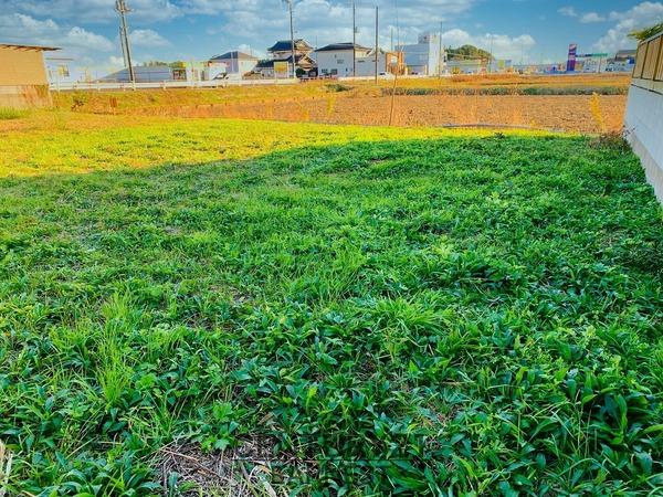 茂原市六ツ野の土地