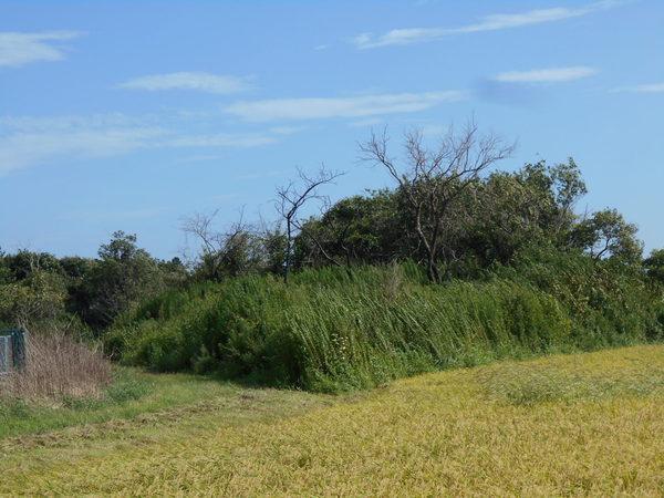 茂原市南吉田の土地