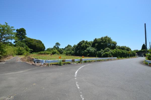 東金市西中の土地