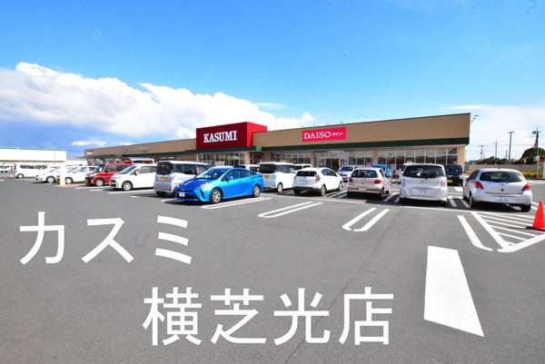 山武郡横芝光町宮川の土地(カスミフードスクエア横芝光店)