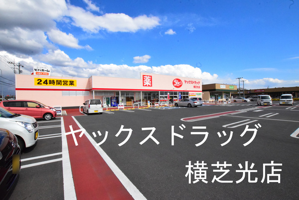 山武郡横芝光町宮川の土地(ヤックスドラッグ横芝光店)