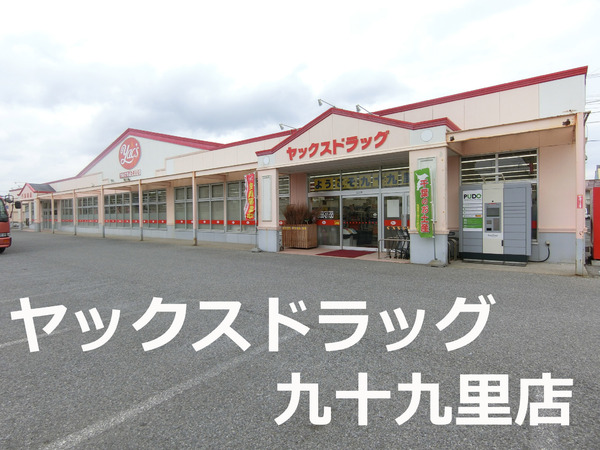 山武郡九十九里町真亀の中古一戸建て(ヤックスドラッグ九十九里店)