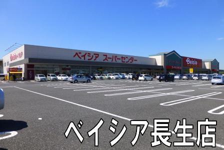 長生郡長生村信友の中古一戸建て(ベイシア長生店)