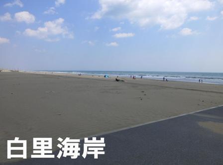 山武郡九十九里町真亀の土地(白里中央海水浴場)