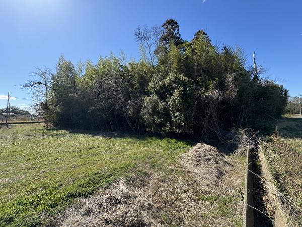 長生郡白子町剃金の土地