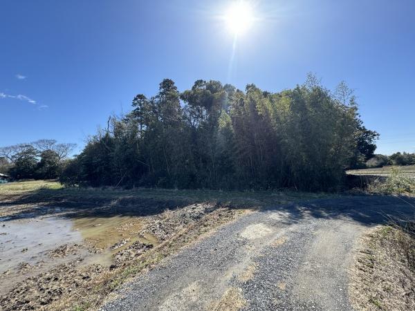 長生郡白子町剃金の土地