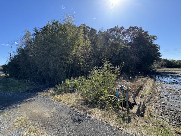 長生郡白子町剃金の土地