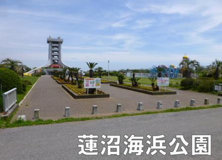 蓮沼ホ590(蓮沼海浜公園)