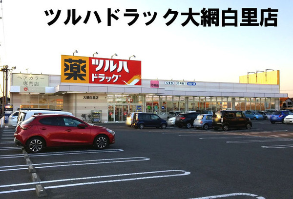 大網白里市富田の中古一戸建て(ツルハドラッグ大網白里店)
