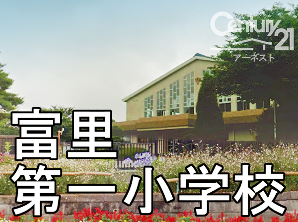 富里市立沢の土地(富里市立富里第一小学校)